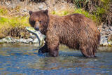 Lunchtime at Windfall Harbor