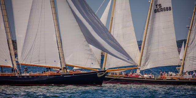 Historic schooner and gaff-rigged yacht sail close together head on during a classic regatta off Newport, Rhode Island