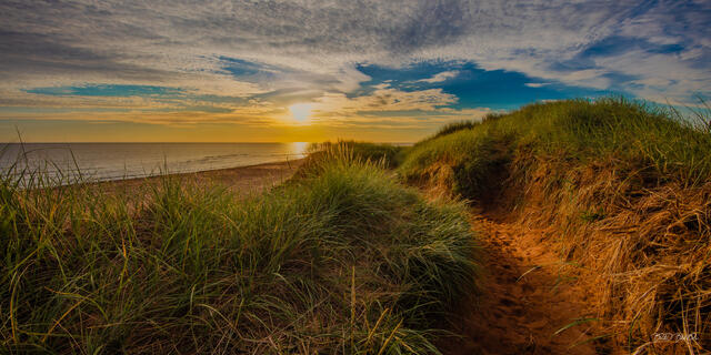 Sandy path through Thunder Cove beach grass dunes leading to stunning PEI sunrise over calm ocean