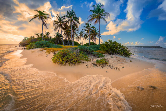 Golden sunset illuminates Petit Tebac in Tobago Cays, a tiny palm-covered island surrounded by white sand and foamy Caribbean surf