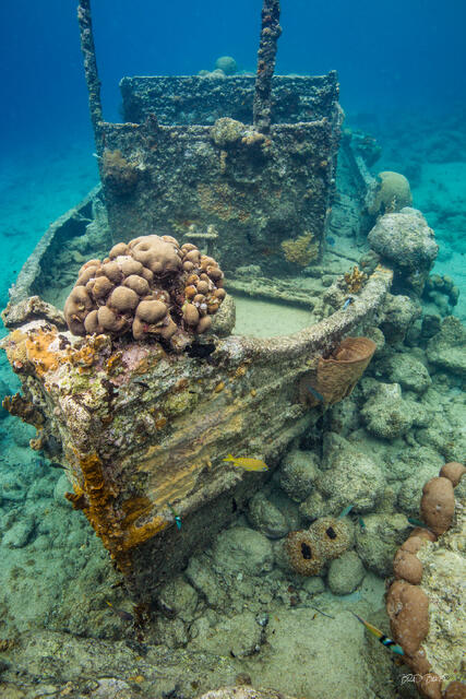 Underwater view of a heavily coral covered  tugboat stern with sponges and small fish on sandy bottom at Tugboat Beach Curacao