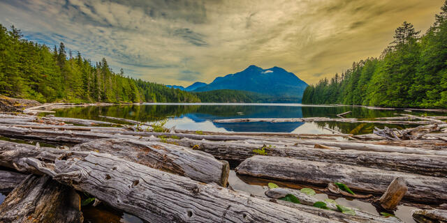 Panoramic view of bleached driftwood logs framing reflective mountain lake, desolation Sound wilderness