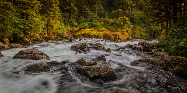 Mountain river with cascading waterfall through temperate rainforest landscape at Thomas Bay Alaska