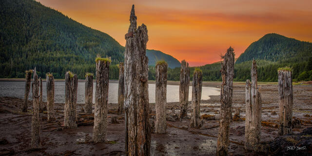Weathered wooden pilings on tidal flat at sunset with mountains and orange sky in Taku Harbor Tongass National Park Alaska