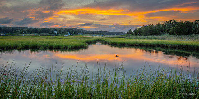 Duck floats on a calm tidal marsh reflecting a vivid orange and gray sunset sky at Three Mile Harbor East Hampton New York