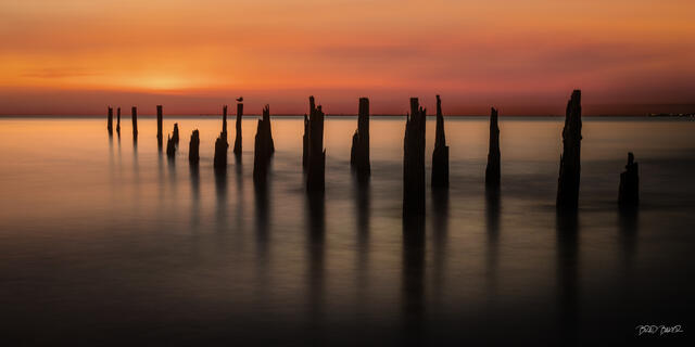 Weathered wooden pilings standing in calm water at sunset, warm orange reflections across a still beach front at Fort Myers Beach Florida