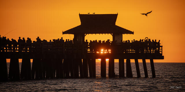Silhouetted crowd gathered on a pier pavilion at Naples Florida at sunset, pelican flying past a glowing orange sky