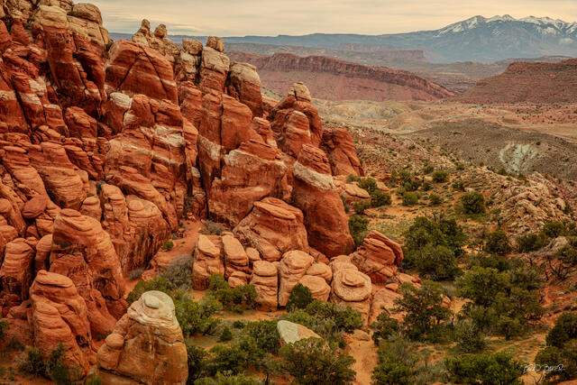 Rugged red rock spires and green desert vegetation in the Fiery Furnace, Arches National Park