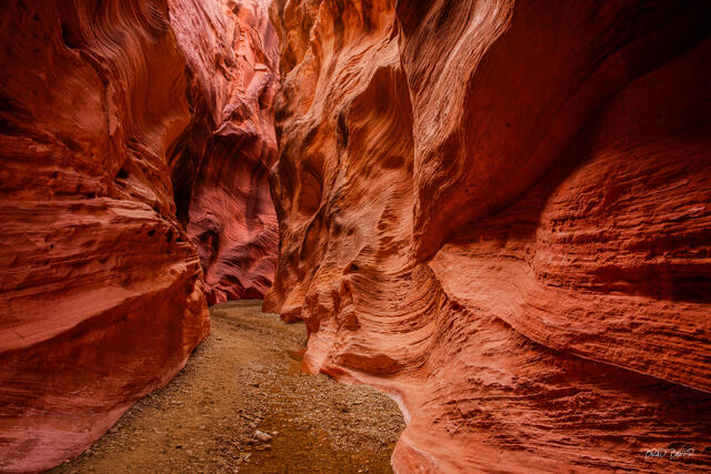 Narrow slot canyon with swirling red and orange sandstone walls lit by soft ambient light at Willis Slot Canyon Utah