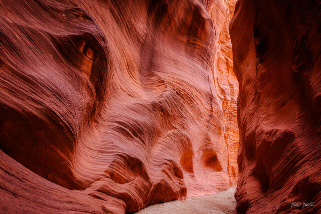 Winding canyon corridor with richly textured wavy red sandstone walls and a sandy floor at Willis Slot Canyon Utah