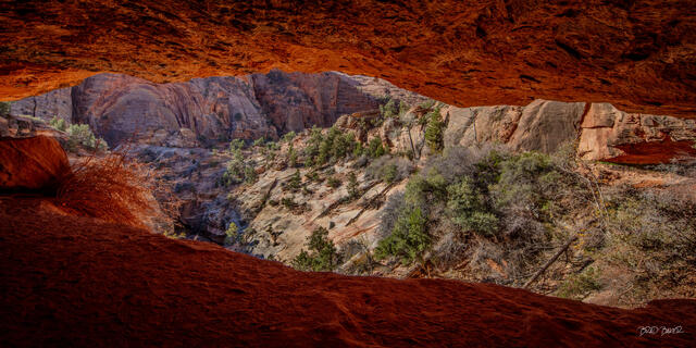View from inside a red sandstone alcove overlooking a forested canyon in Zion National Park, Utah