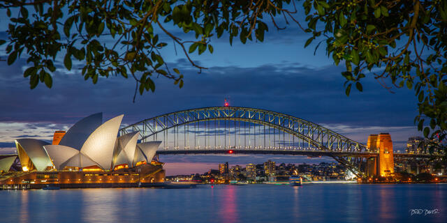 Sydney Opera House and Harbor Bridge illuminated at blue hour over the calm harbor