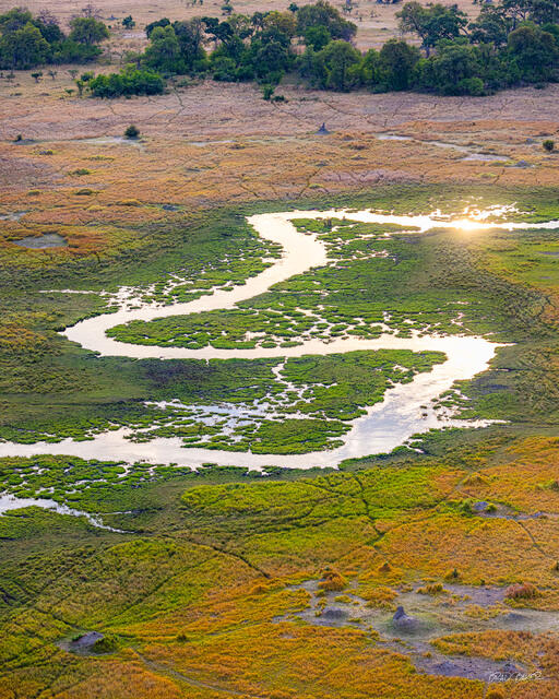Aerial view of winding Okavango Delta channels surrounded by lush green vegetation