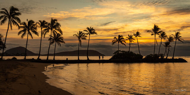 Silhouetted palm trees line Kahala Beach Oahu Hawaii at golden sunrise with calm ocean and distant volcanic hills.