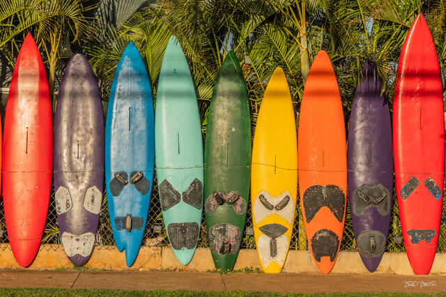 Row of colorful vintage surfboards leaning against a fence backed by tropical palm fronds in Paia Maui Hawaii.