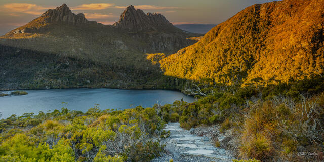 Cradle Mountain reflected in Dove Lake with a scenic walking trail through Tasmania's wilderness