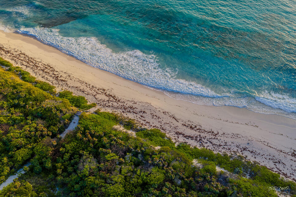 Aerial view of a sandy beach with seagrass lines and a walking path beside lush coastal vegetation at golden hour on The Bahamas