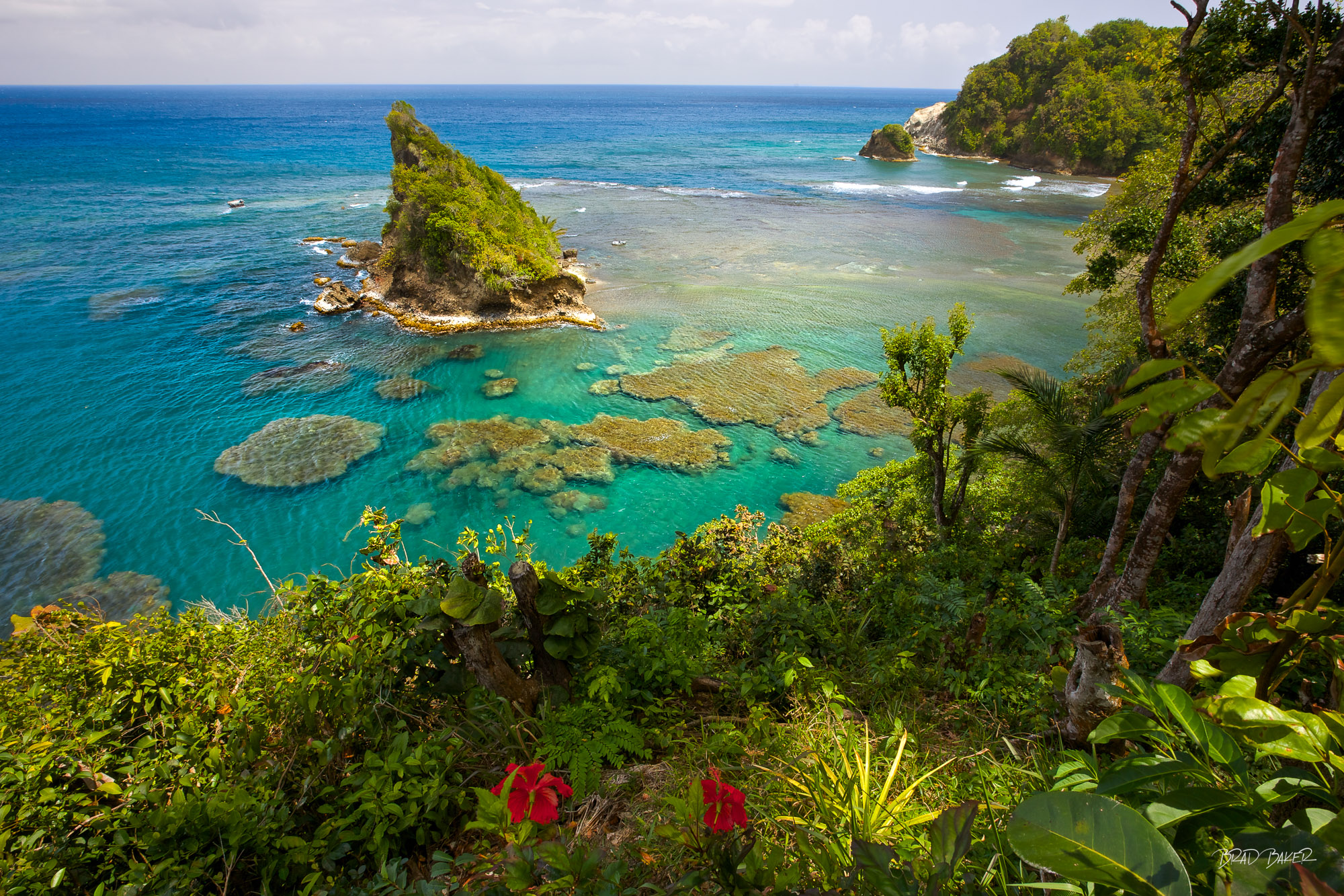 A HIDDEN SEASIDE GEM Aerial view of turquoise coral reefs and a rocky islet off the lush coastline of Dominica, Caribbean.