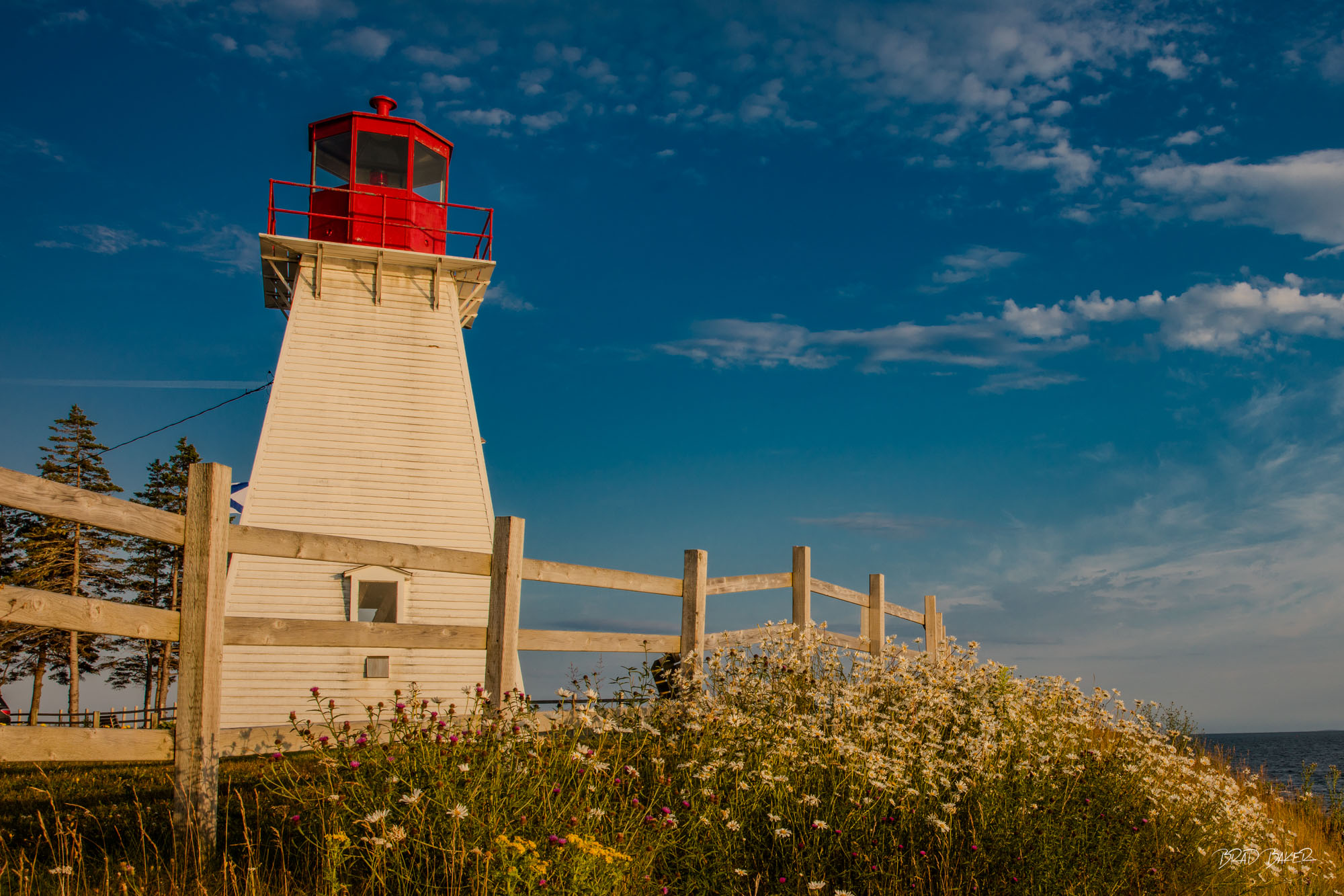 BACCARO POINT LIGHTHOUSE Baccaro Point lighthouse with red lantern room, wildflowers and wooden fence, Nova Scotia coastline