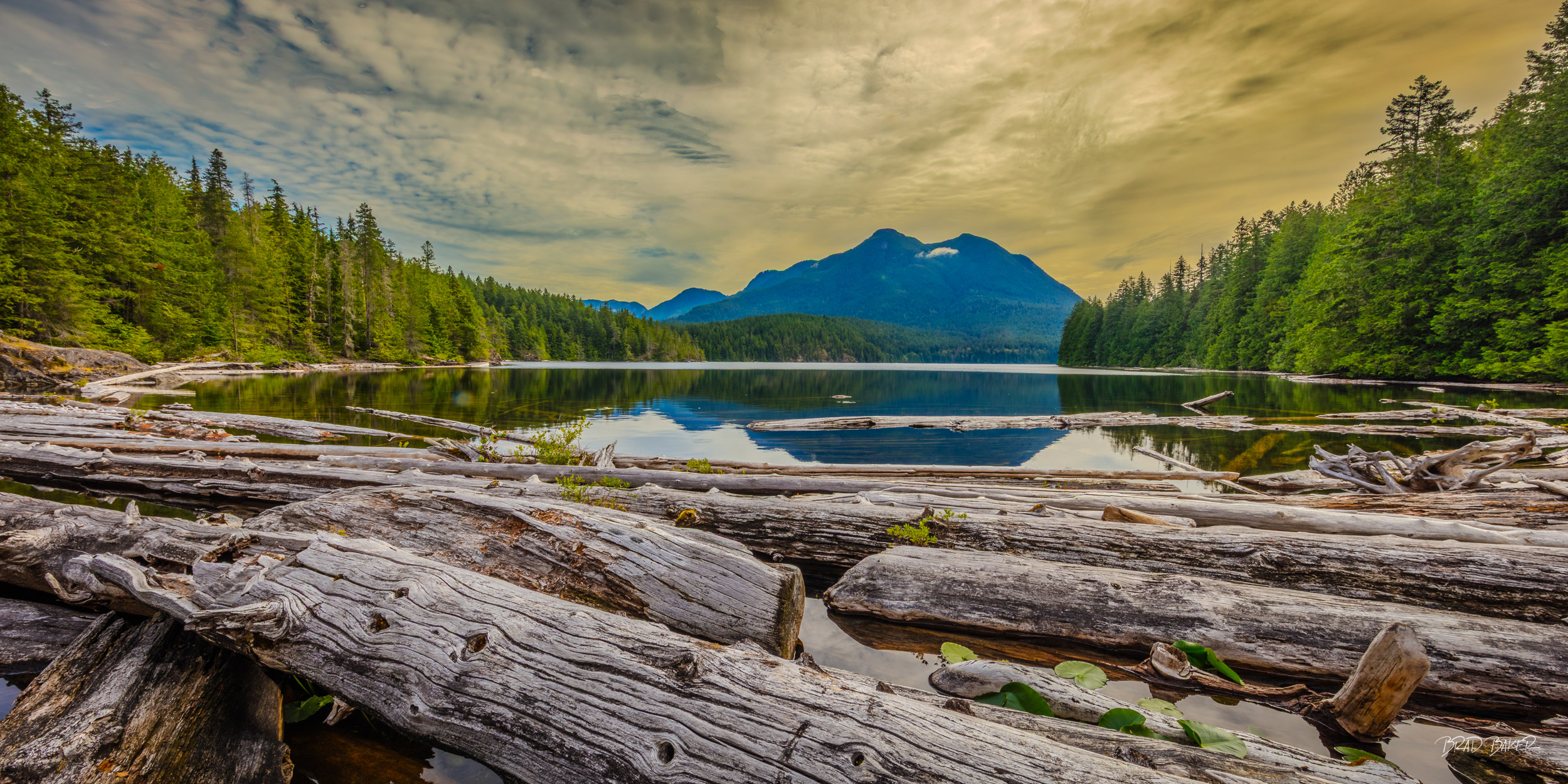 DRIFTWOOD DRAMA Panoramic view of bleached driftwood logs framing reflective mountain lake, desolation Sound wilderness