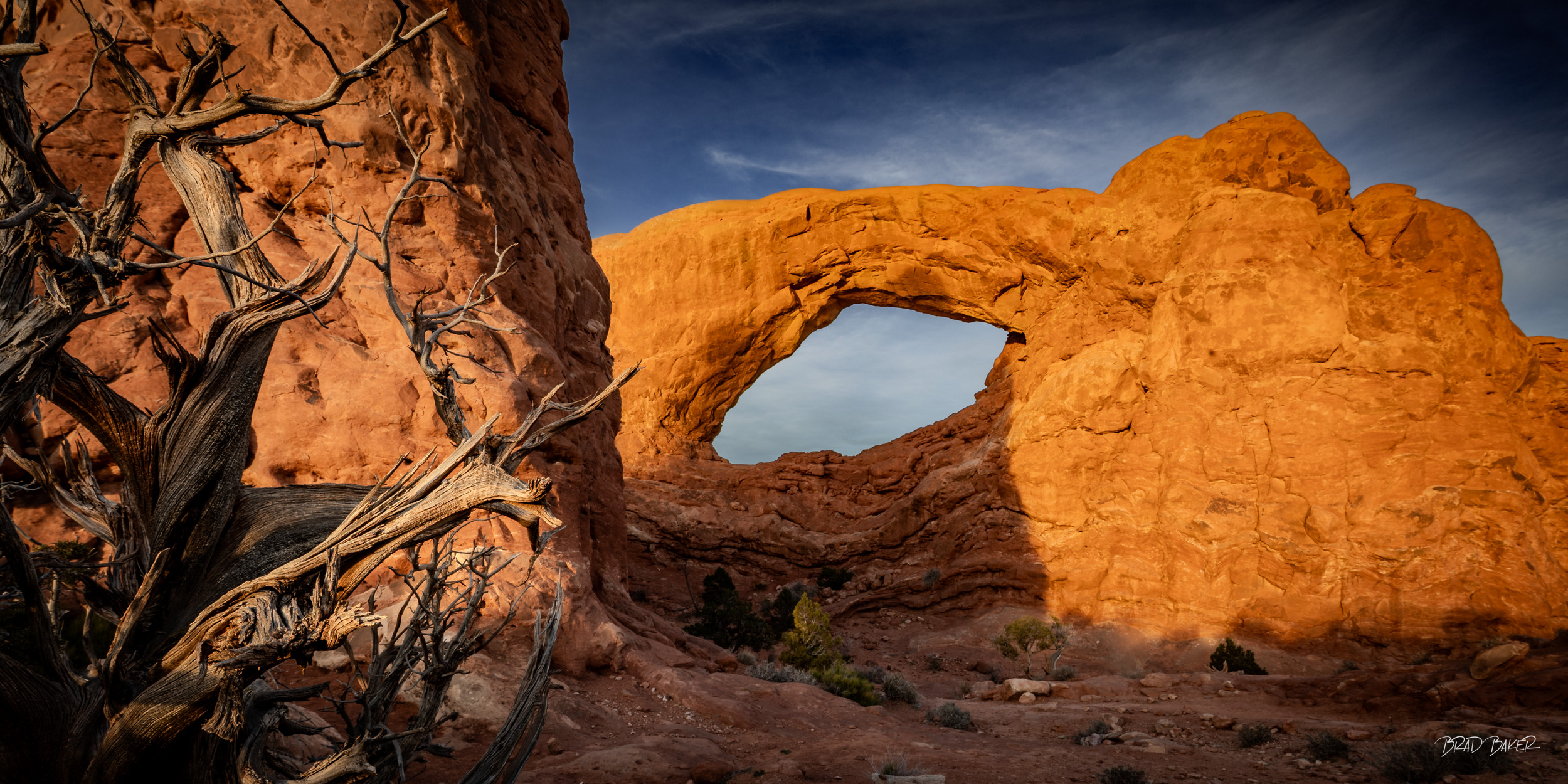 The Twisted Guardian Weathered dead tree in front of a glowing red rock arch at sunset in Arches National Park