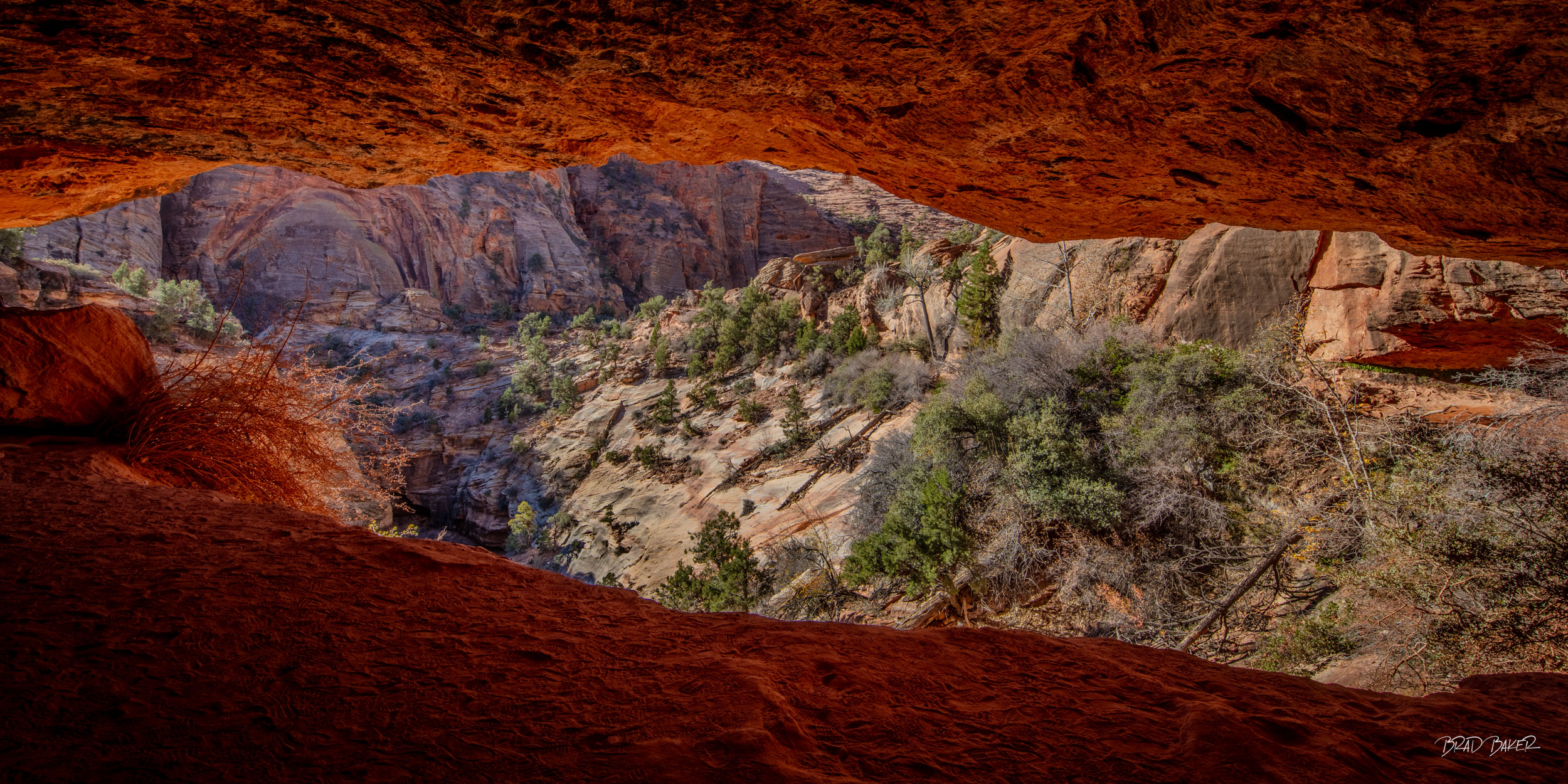 The eye of the giant View from inside a red sandstone alcove overlooking a forested canyon in Zion National Park, Utah