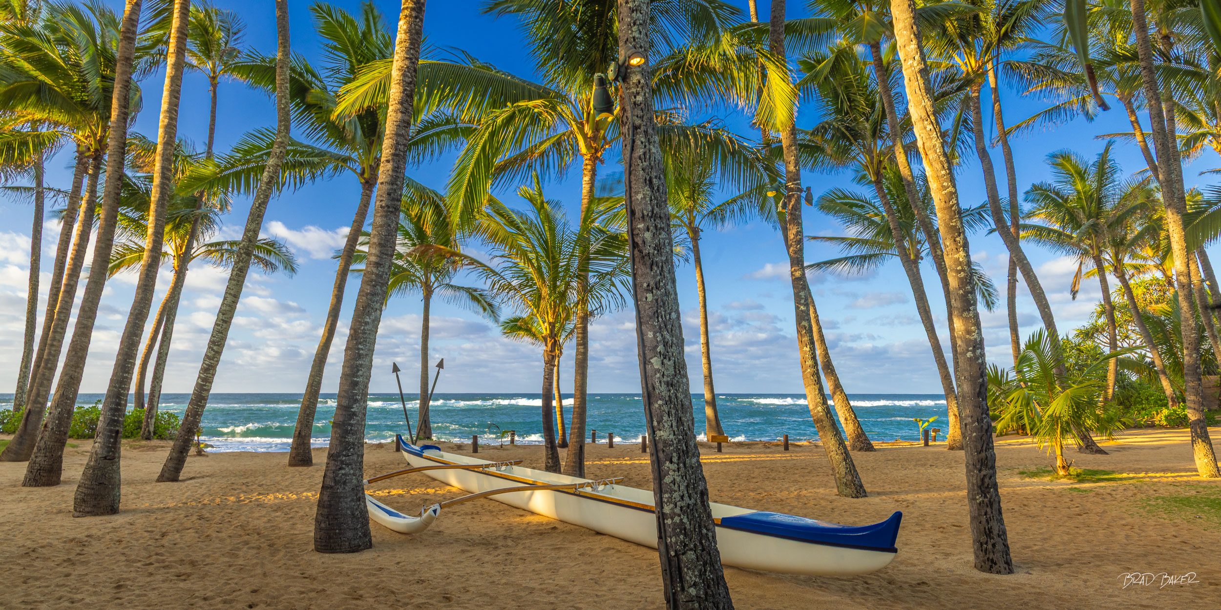 Mama's Wa'a Traditional outrigger canoe resting on sand beneath swaying palm trees on a sunny beach at Maui Hawaii