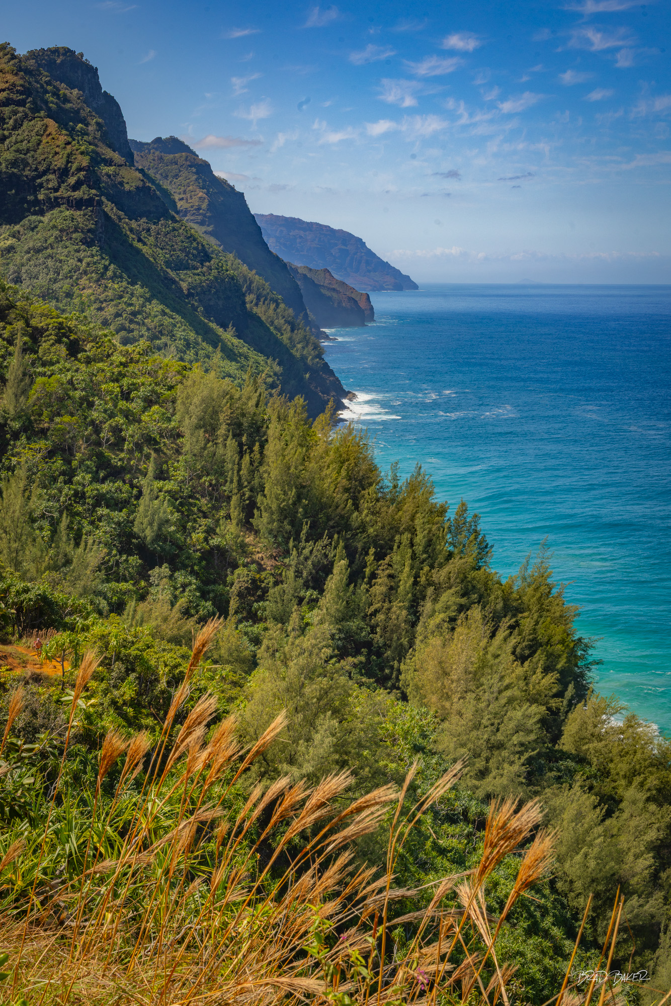 Na Pali's Edge Steep tree-lined sea cliffs of the Kalalau Trail overlook the deep blue Pacific Ocean on Kauai Hawaii