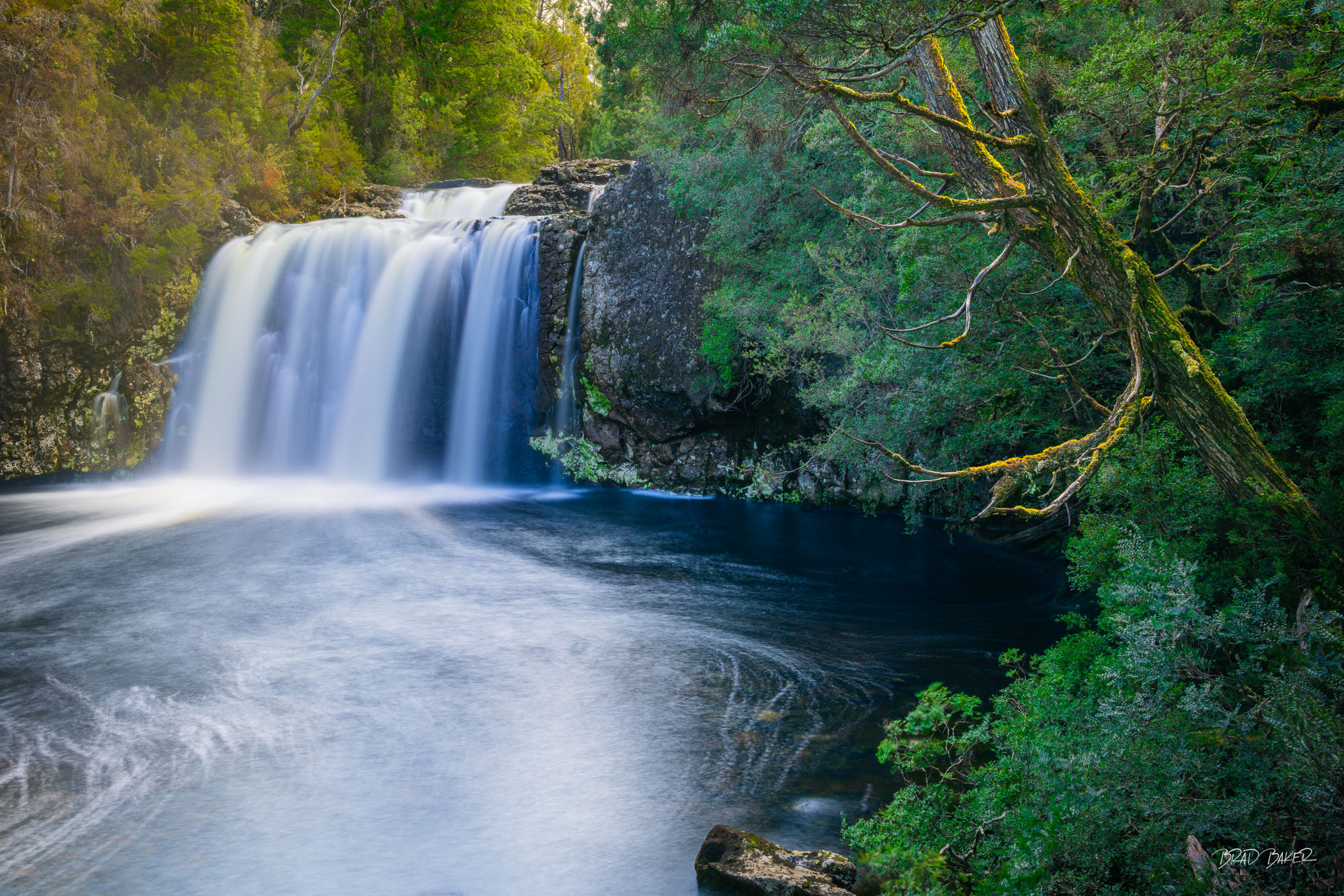 PENCIL PINE FALLS Long exposure of Pencil Pine Falls cascading into a dark pool surrounded by lush Tasmanian forest