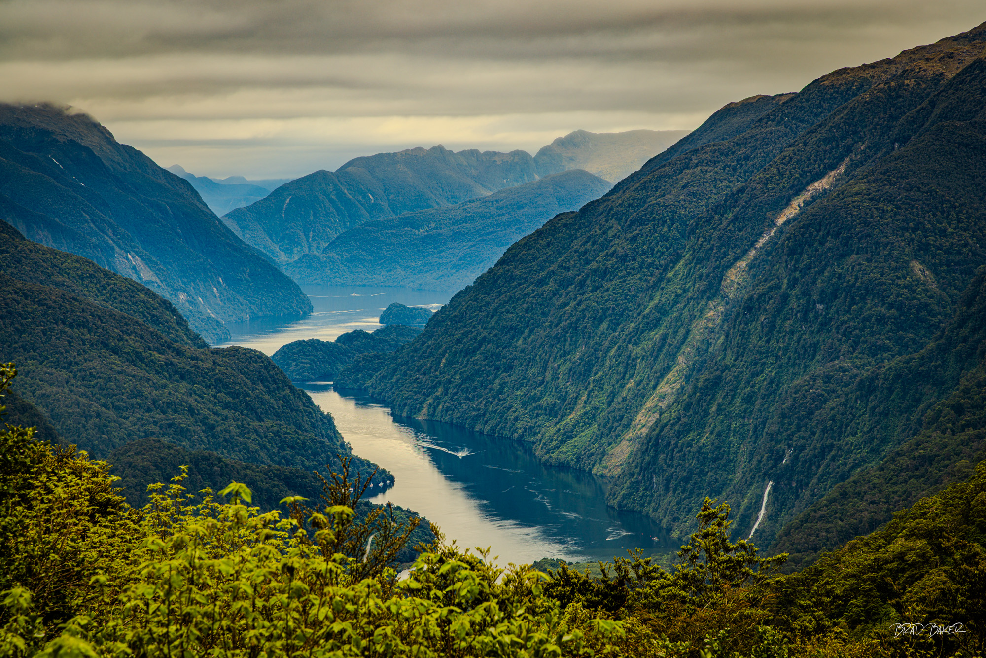 Milford from Above Elevated view of Milford Sound fjord winding between steep forested mountains, New Zealand